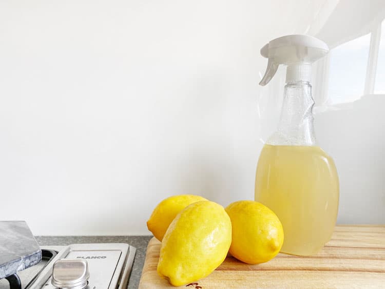 Zitrone und Essig Putzmittel